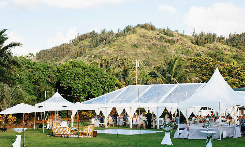 (Photo https.www.absolutelyloved.com)